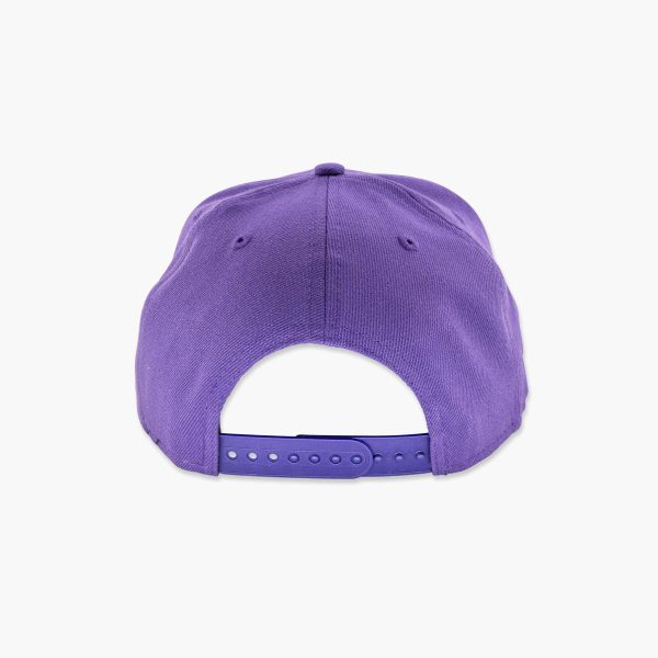 Washington Huskies 1991 Rose Bowl Champions Script Snapback For Sale - Image 4