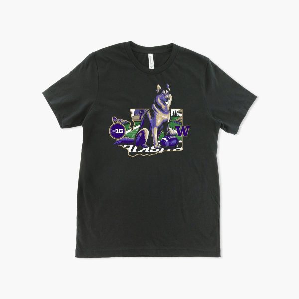 Washington Huskies Big Ten Touchdown Dawg T-Shirt Online